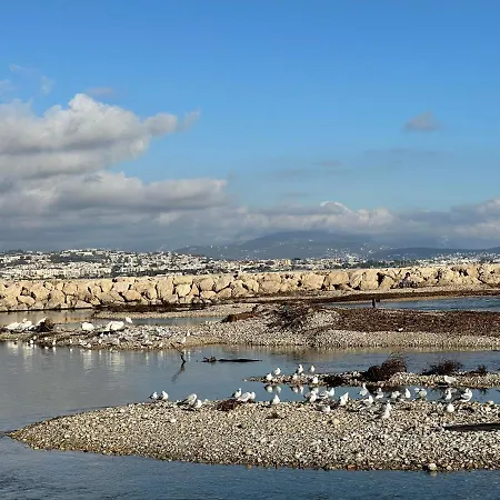 公寓 Loubet Plage- Entre Et Cannes *