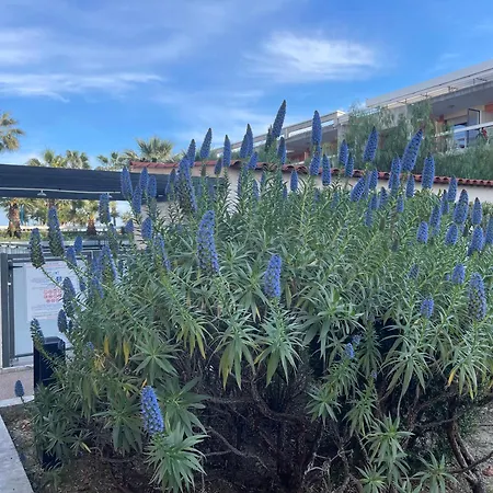 Loubet Plage- Entre Et Cannes Apartamento *