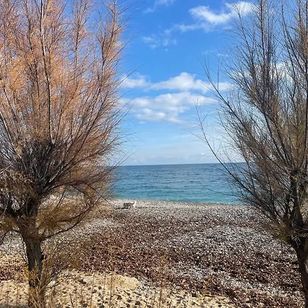 Loubet Plage- Entre Et Cannes Apartamento Villeneuve-Loubet